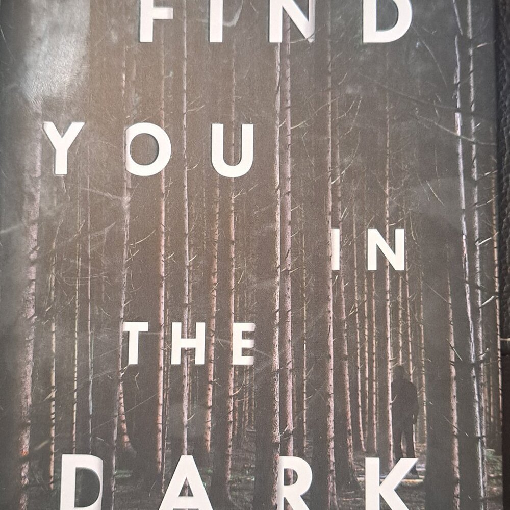 Find You in the Dark - A Novel By Nathan Ripley HARDCOVER book